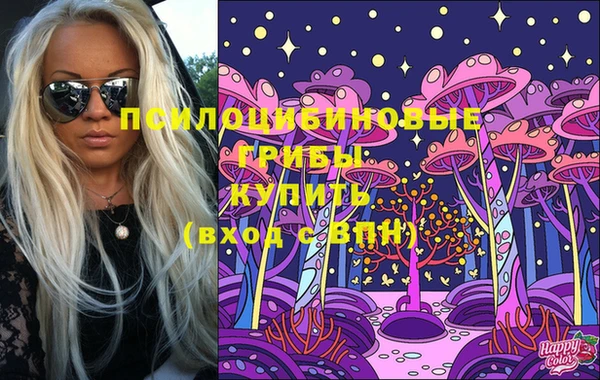 мяу мяу мука Армянск