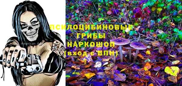 МДПВ Аркадак