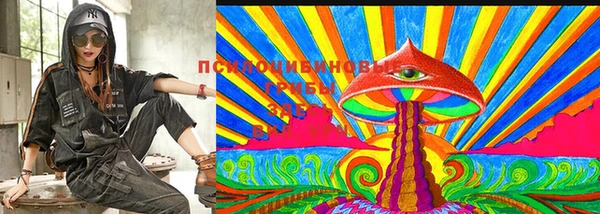 МДПВ Аркадак