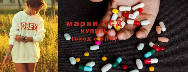 винт Алзамай